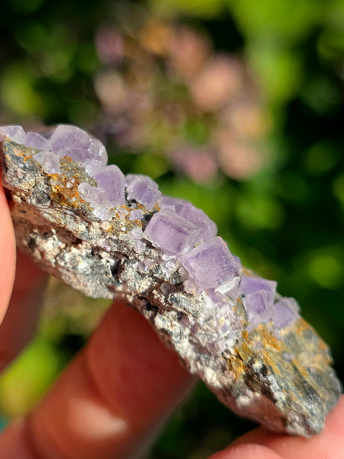 Fluorite (ou Fluorine) violette du Béarn