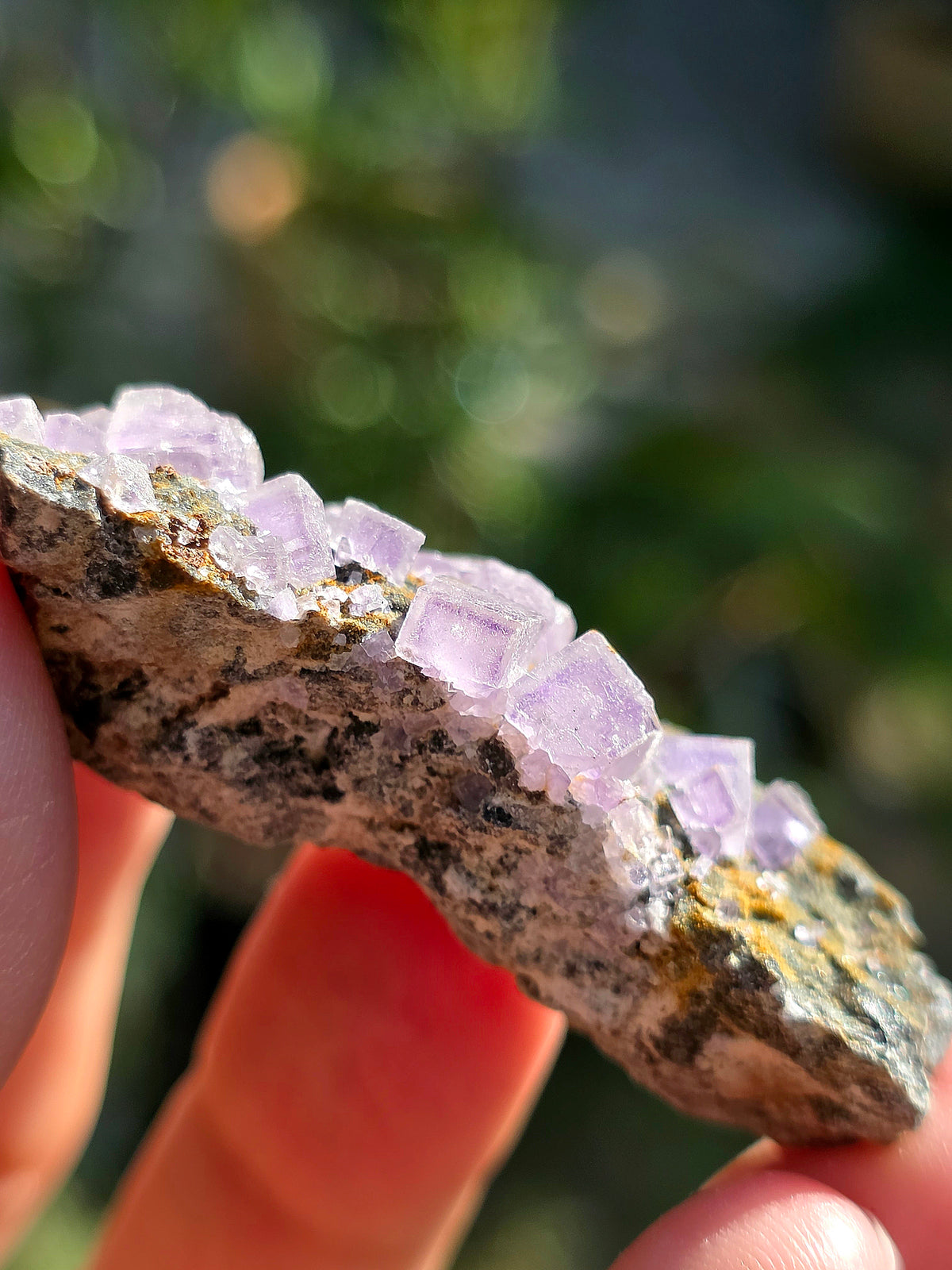 Fluorite (ou Fluorine) violette du Béarn