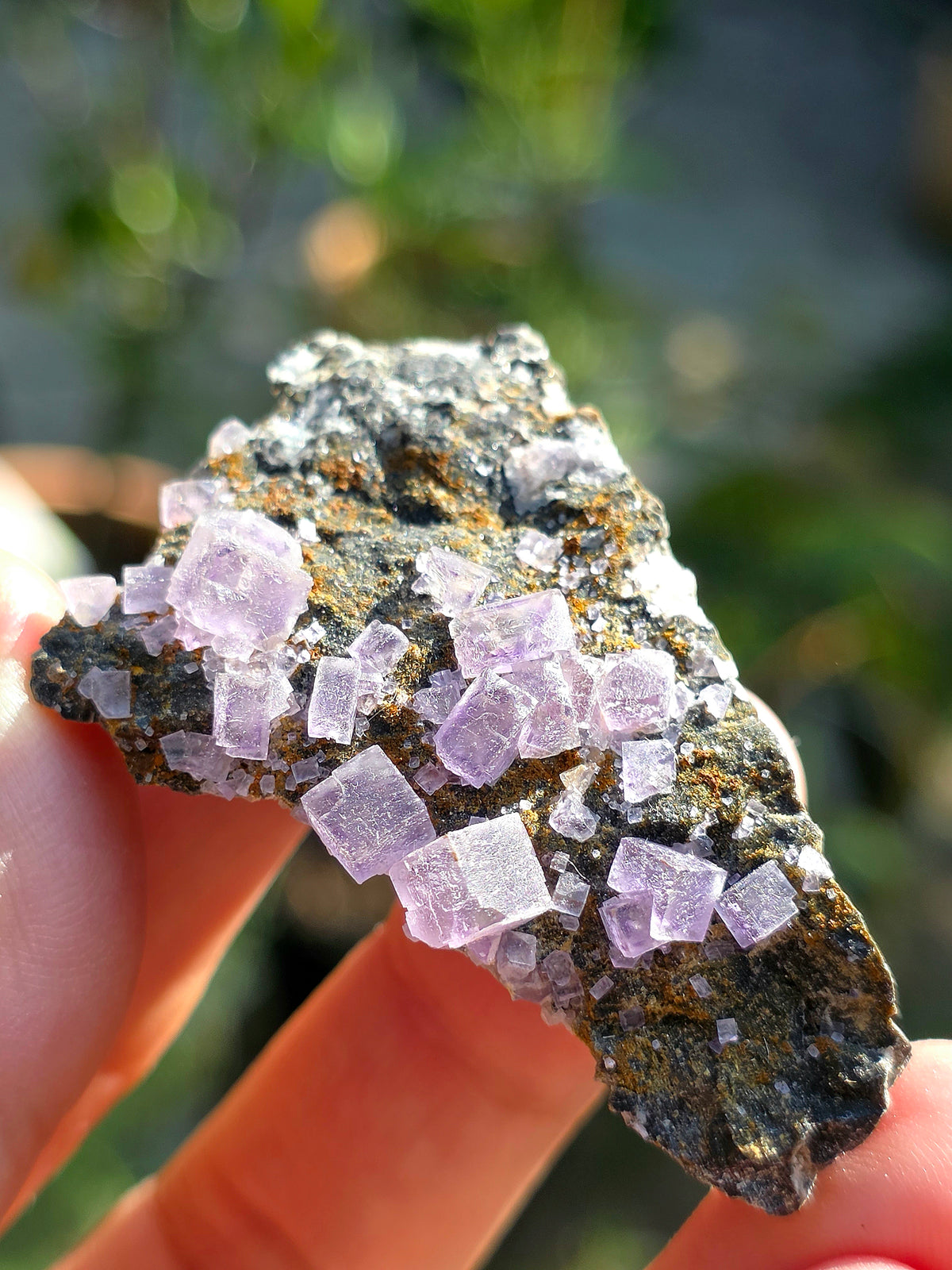 Fluorite (ou Fluorine) violette du Béarn