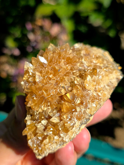 Fleur de Calcite miel brute des Pyrénées