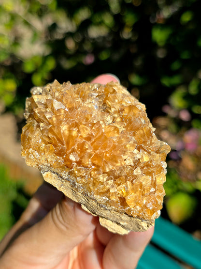 Fleur de Calcite miel brute des Pyrénées