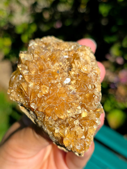 Fleur de Calcite miel brute des Pyrénées