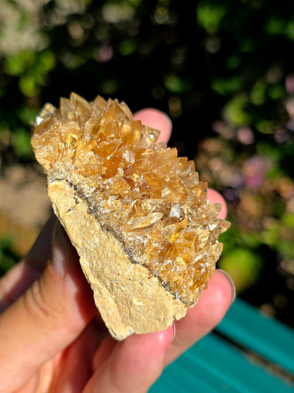 Fleur de Calcite miel brute des Pyrénées