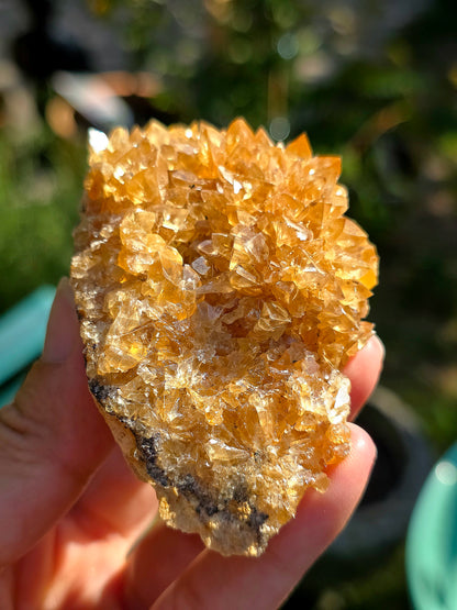 Fleur de Calcite miel brute des Pyrénées