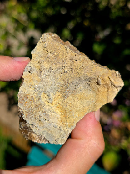 Calcite miel brute en provenance des Pyrénées