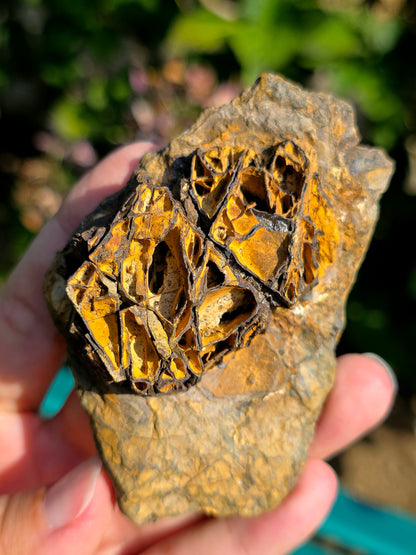 Limonite brute des Pyrénées