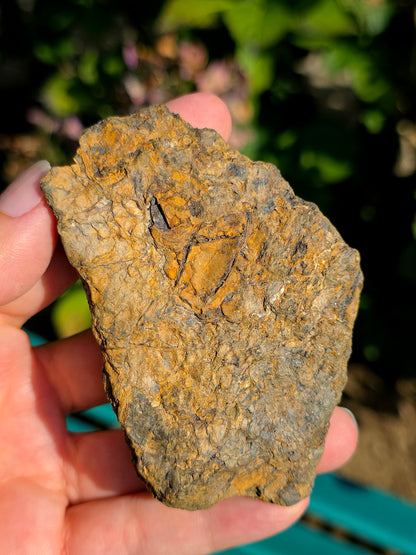 Limonite brute des Pyrénées