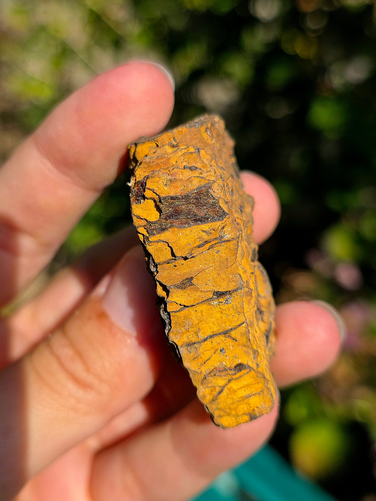 Jolie Limonite brute des Pyrénées.