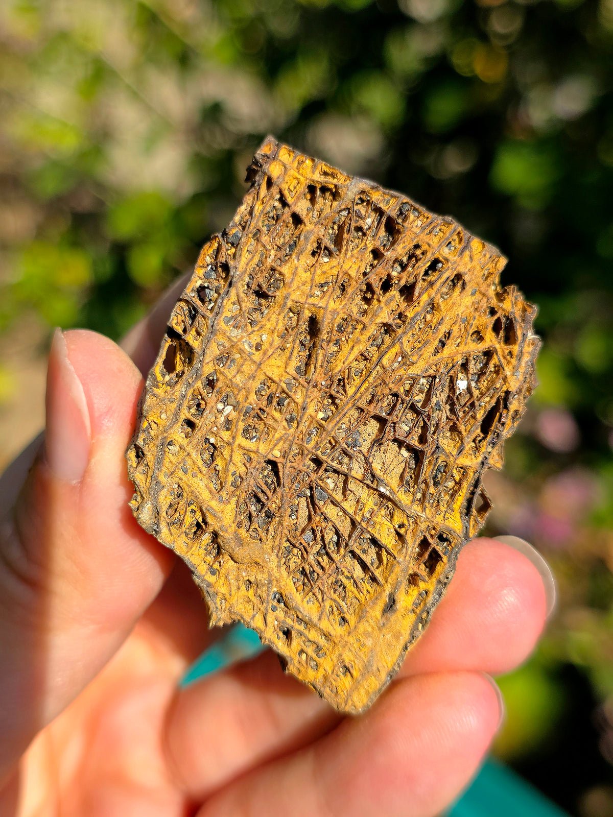 Jolie Limonite brute des Pyrénées.