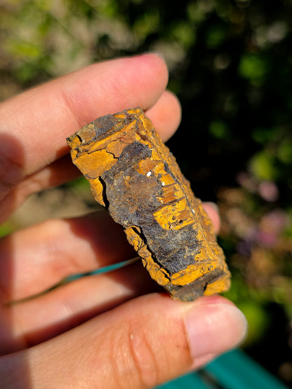 Jolie Limonite brute des Pyrénées.