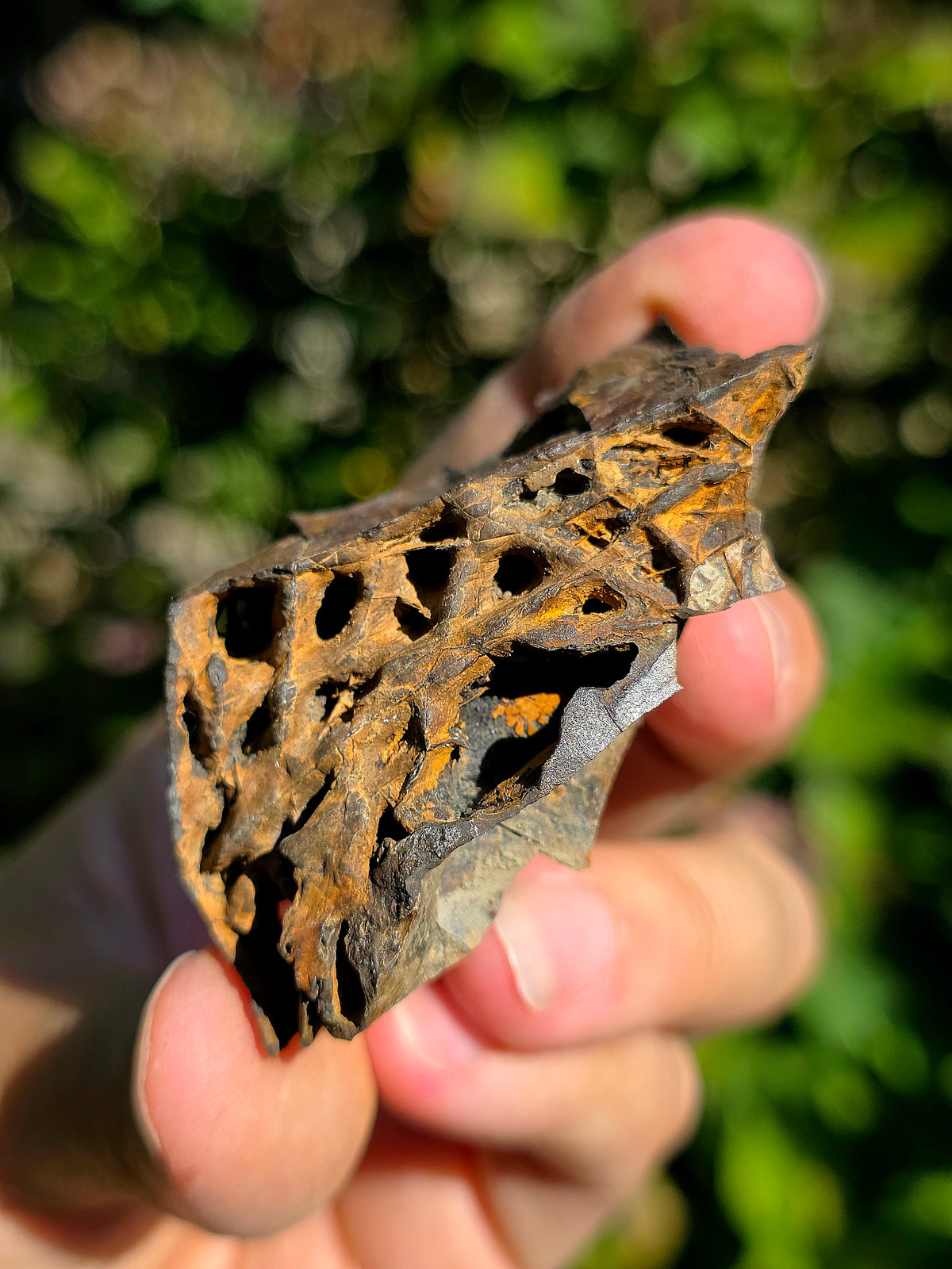 Limonite brute des Pyrénées françaises