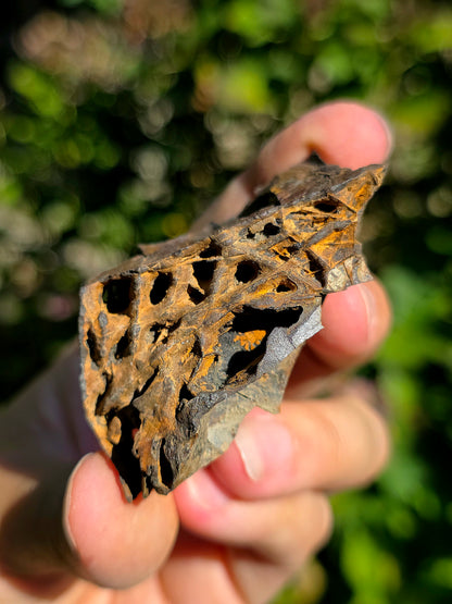 Limonite brute des Pyrénées françaises
