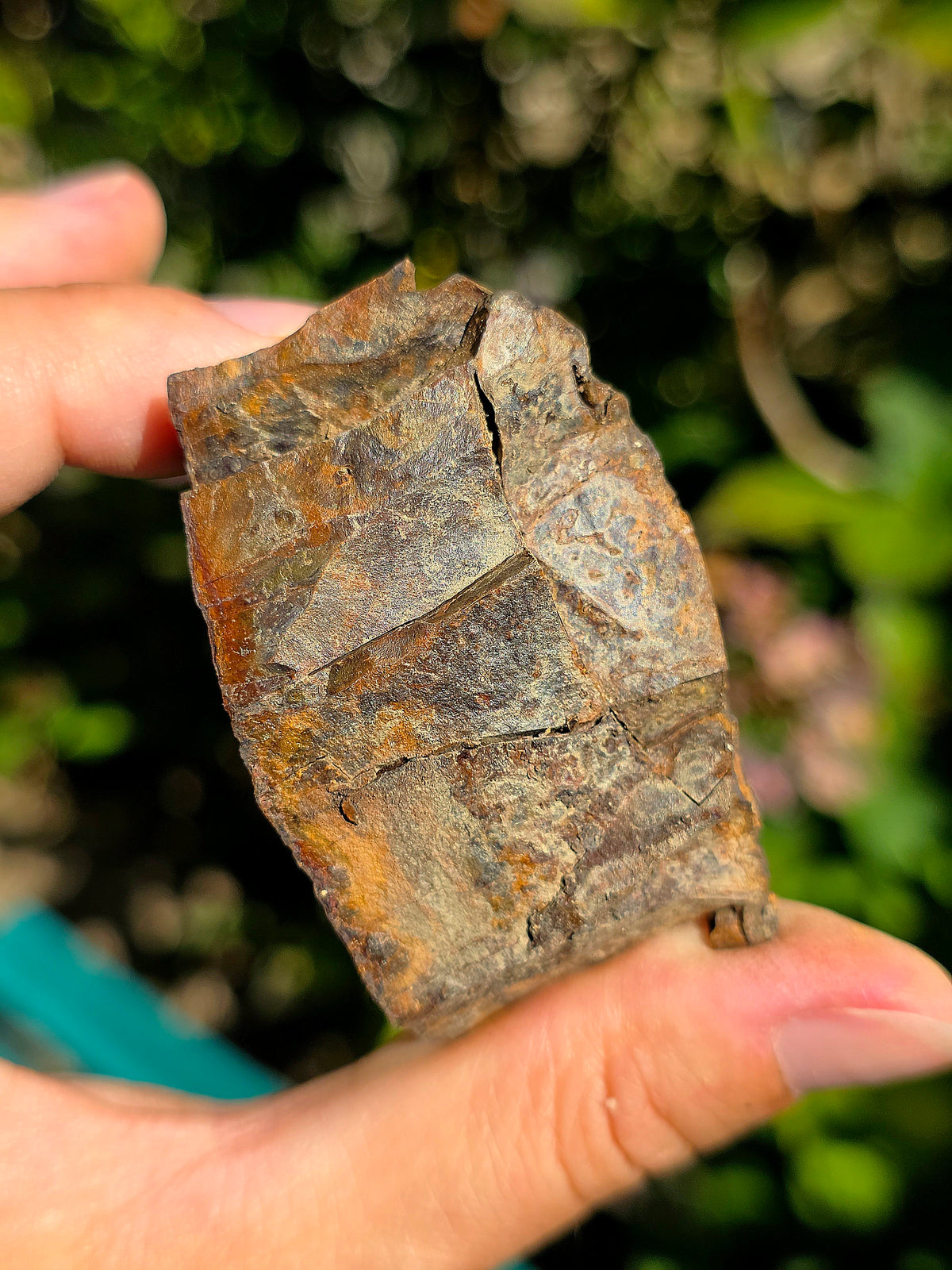 Limonite brute des Pyrénées