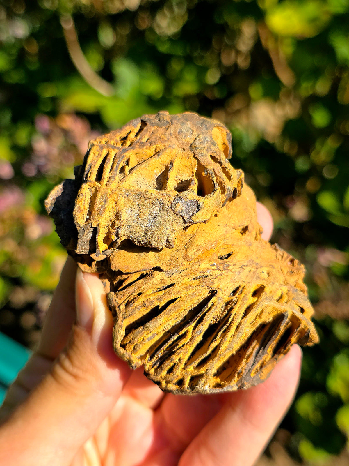 Limonite brute des Pyrénées