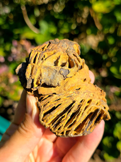 Limonite brute des Pyrénées
