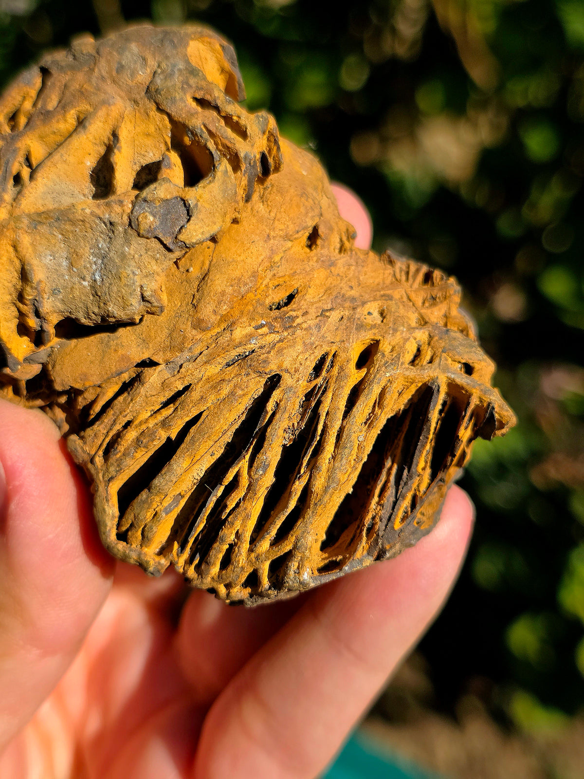 Limonite brute des Pyrénées
