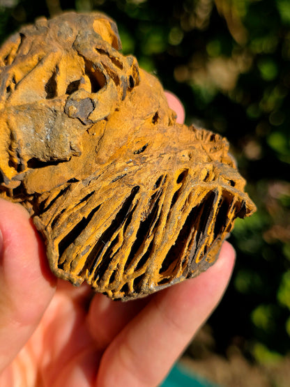 Limonite brute des Pyrénées