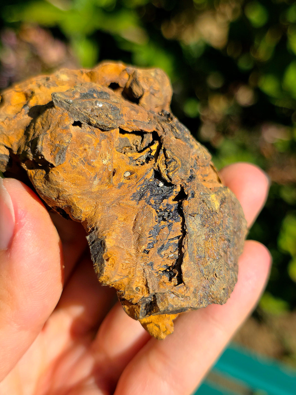 Limonite brute des Pyrénées