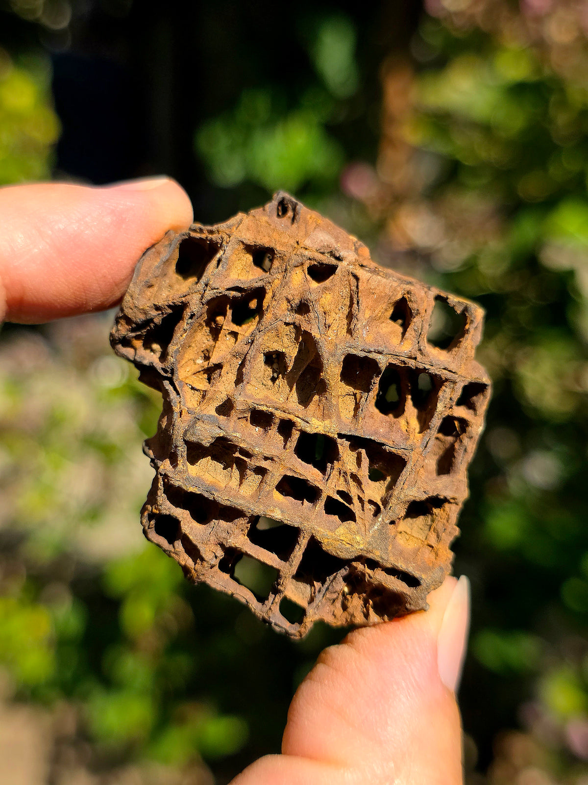 Limonite brute des Pyrénées.
