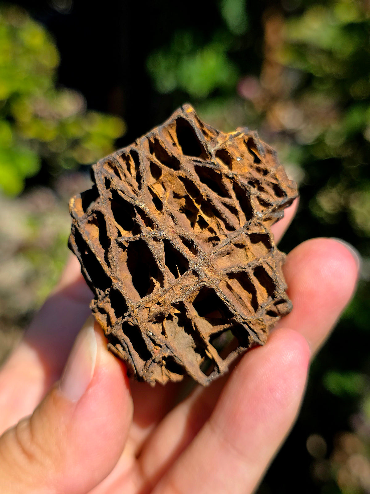 Limonite brute des Pyrénées.