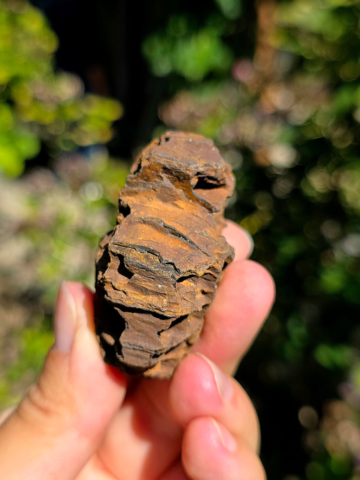 Limonite brute des Pyrénées.