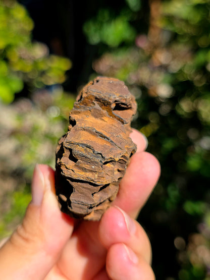 Limonite brute des Pyrénées.