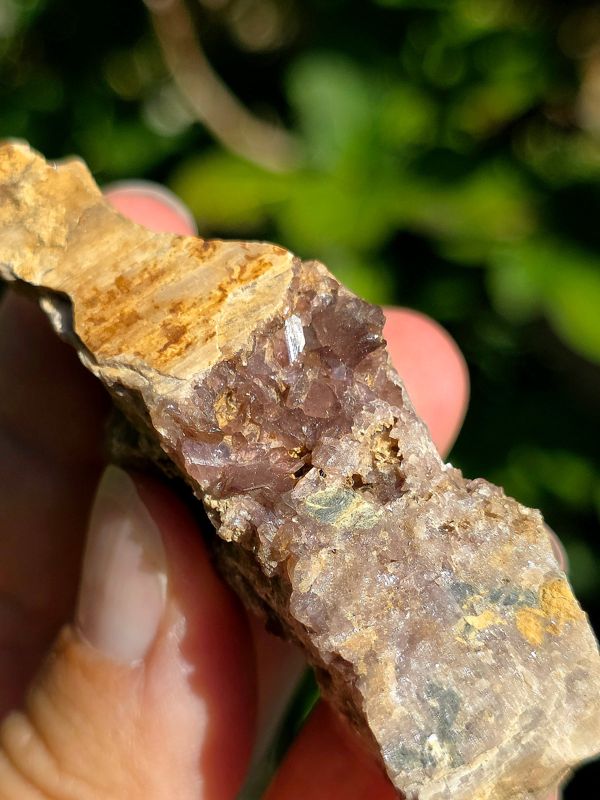 Axinite en provenance de Barèges, Pyrénées