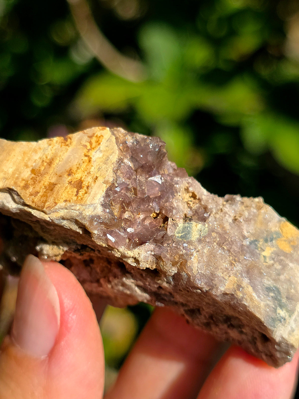 Axinite en provenance de Barèges, Pyrénées