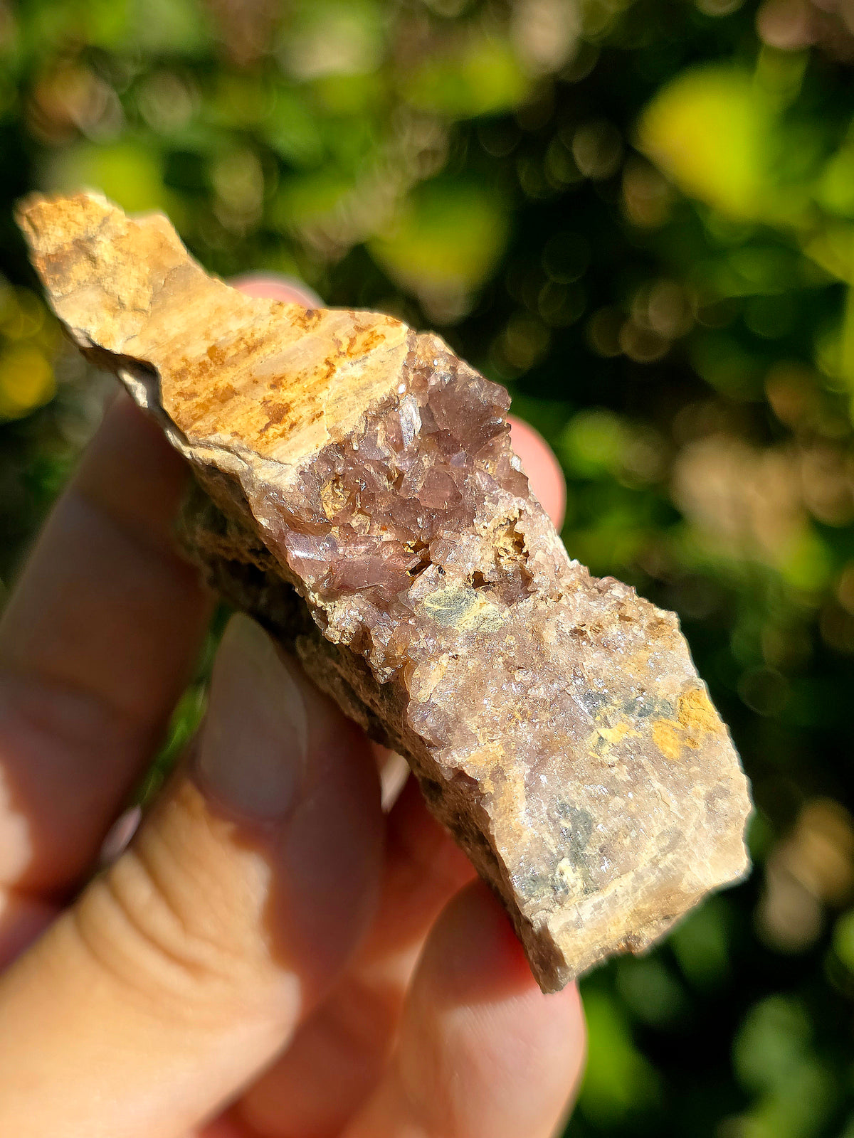 Axinite en provenance de Barèges, Pyrénées