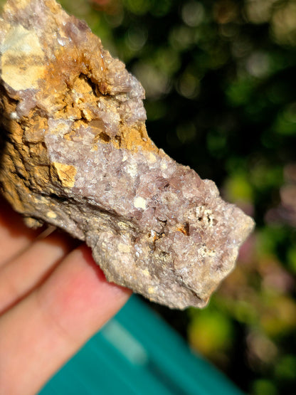 Axinite en provenance de Barèges, Pyrénées