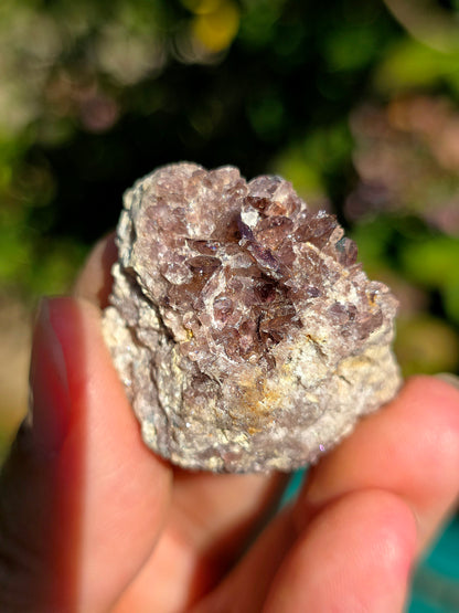 Axinite de Barèges, Pyrénées