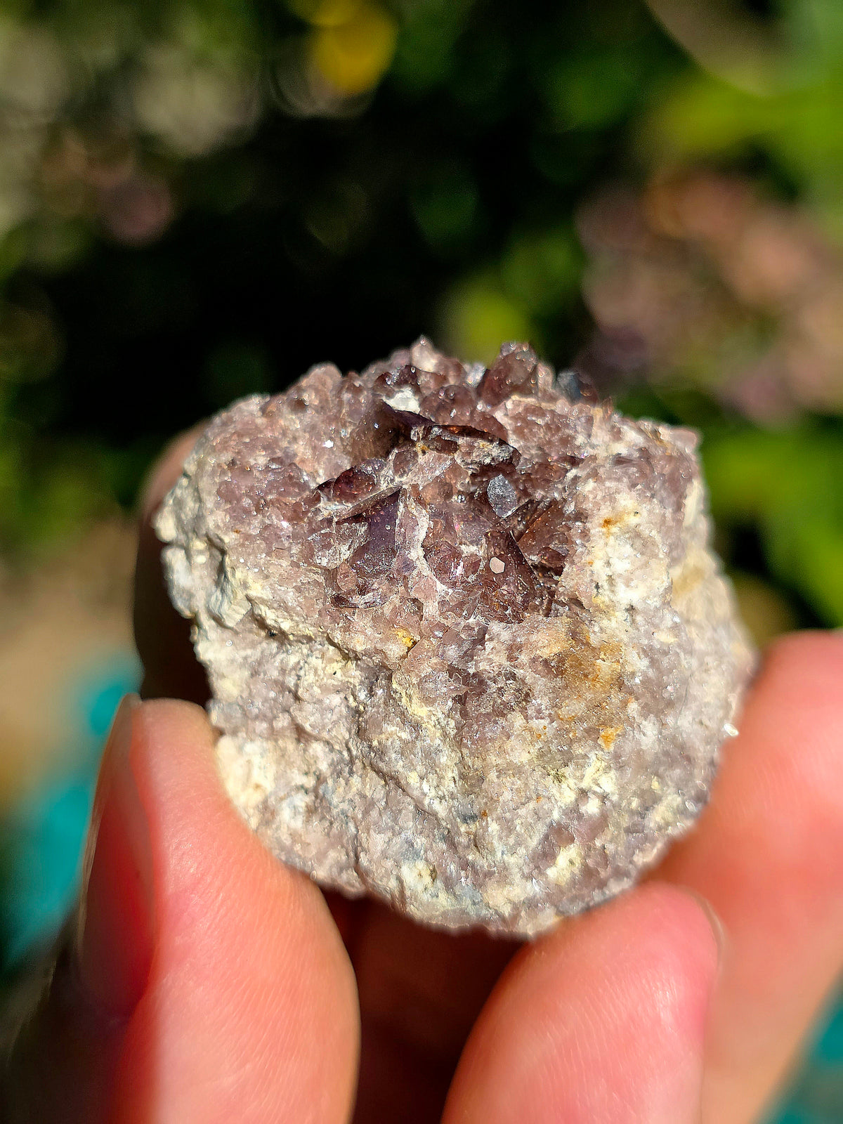 Axinite de Barèges, Pyrénées