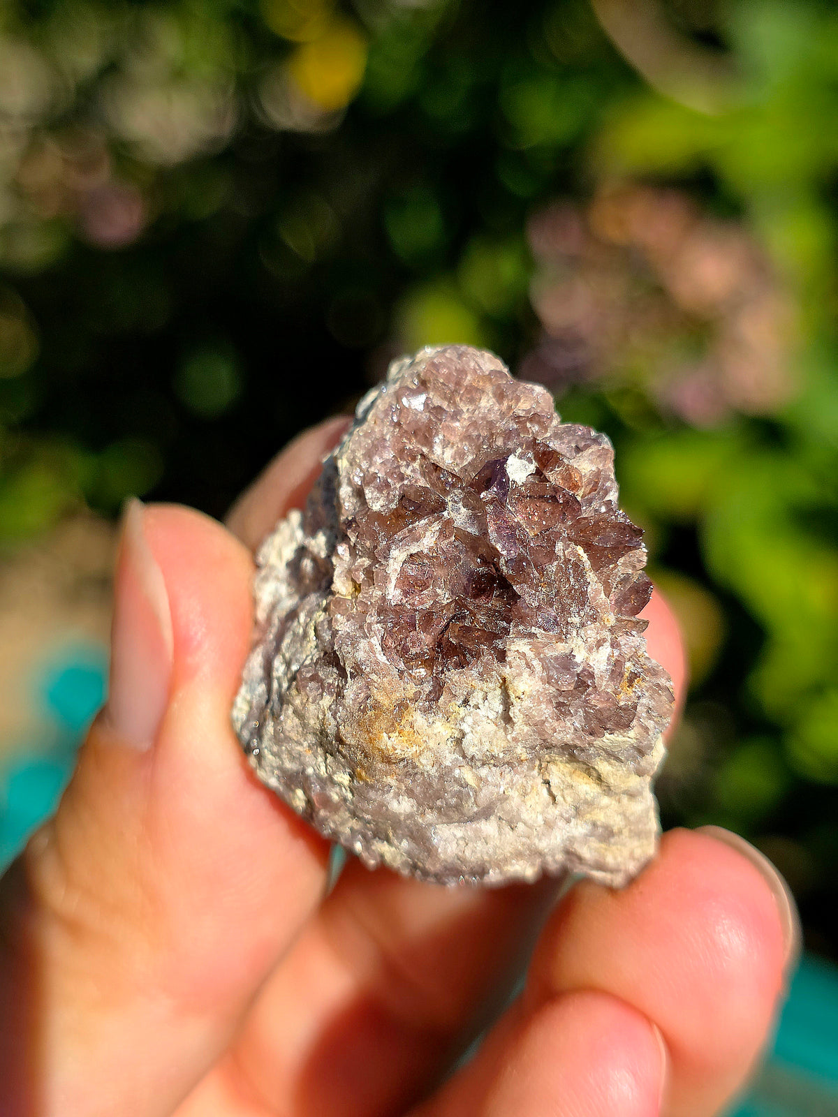 Axinite de Barèges, Pyrénées