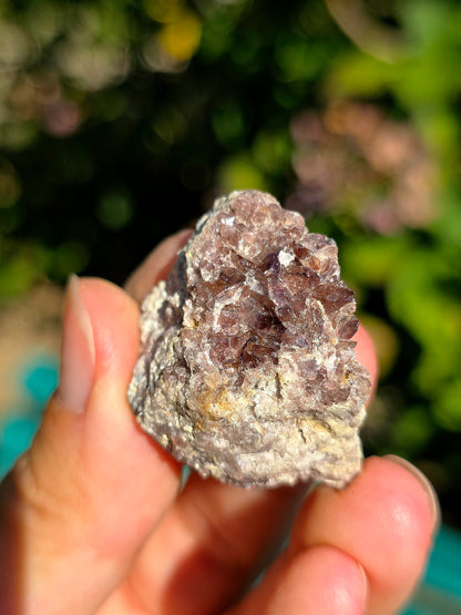 Axinite de Barèges, Pyrénées