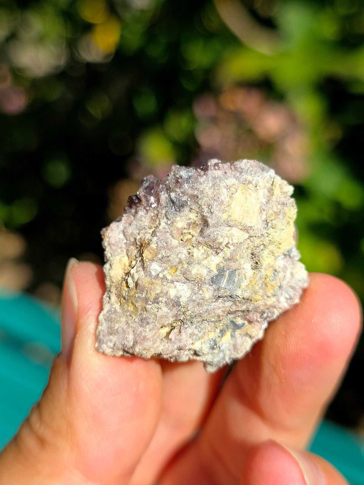 Axinite de Barèges, Pyrénées