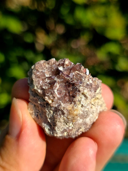 Axinite de Barèges, Pyrénées