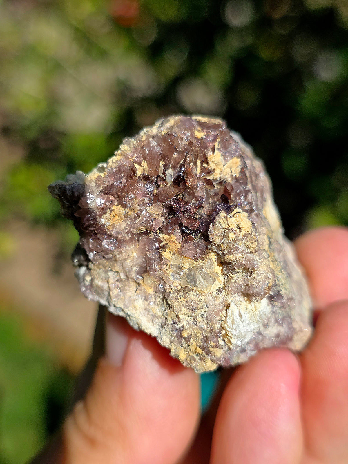 Axinite de barèges, Pyrénées