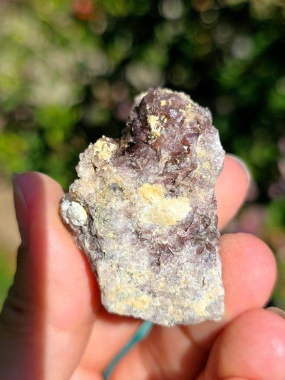 Axinite de barèges, Pyrénées