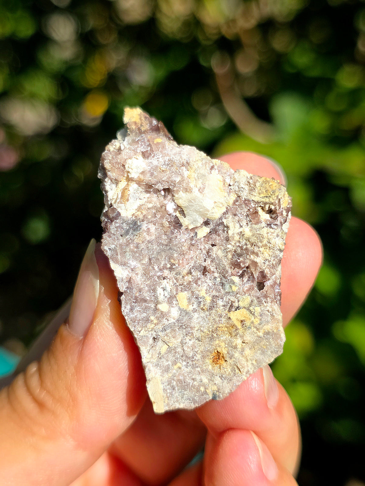 Axinite de barèges, Pyrénées