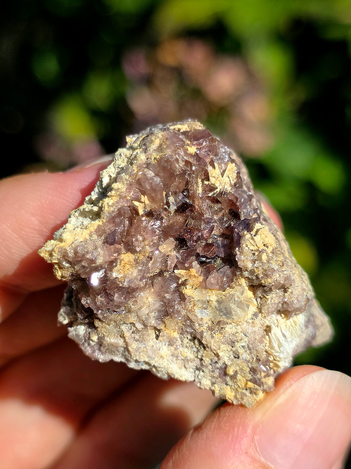 Axinite de barèges, Pyrénées, France