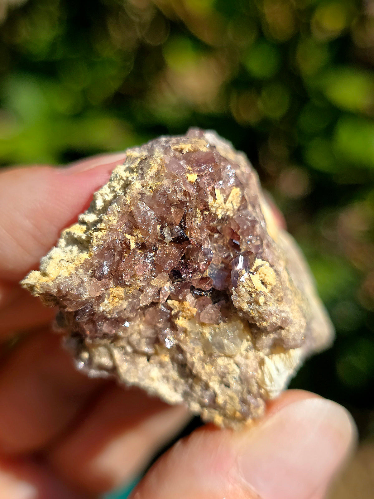 Axinite de barèges, Pyrénées, France