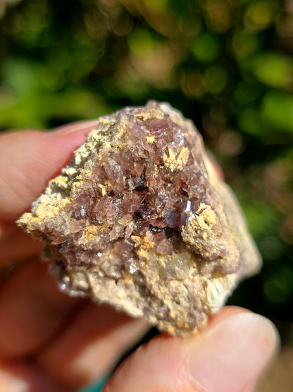 Axinite de barèges, Pyrénées, France