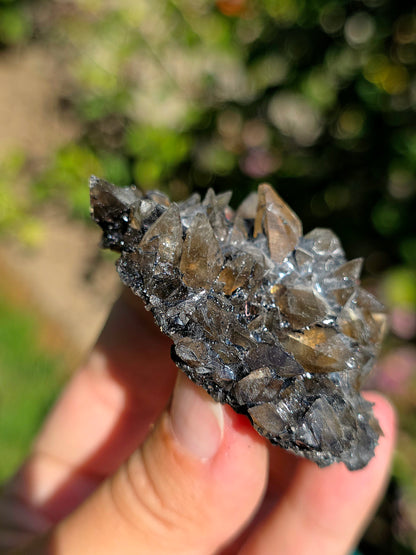 Quartz des Pyrénées sur bitume