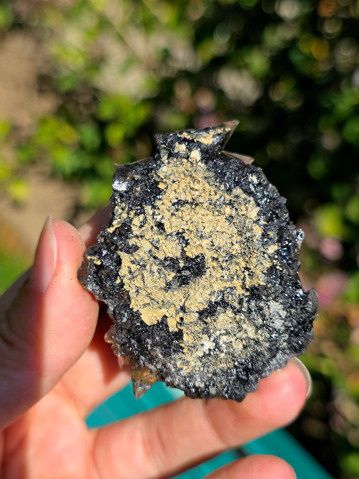 Quartz des Pyrénées sur bitume