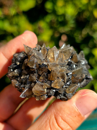 Quartz des Pyrénées sur bitume