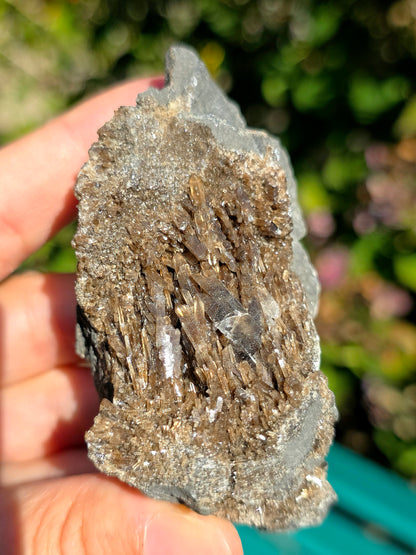 Baryte dans de la Septaria brute de la Drôme