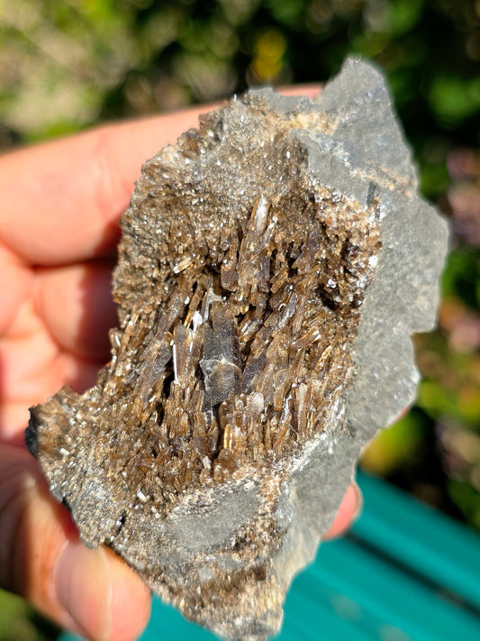 Baryte dans de la Septaria brute de la Drôme