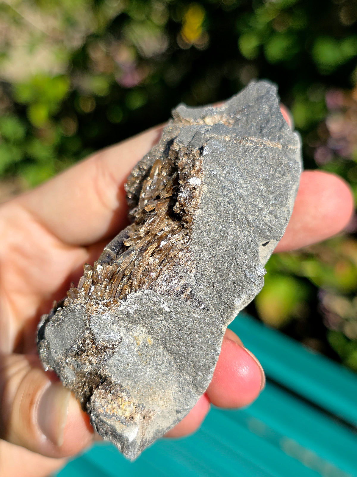 Baryte dans de la Septaria brute de la Drôme