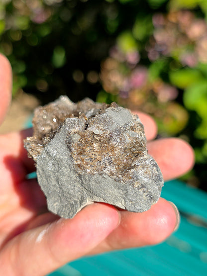 Baryte dans de la Septaria brute de la Drôme