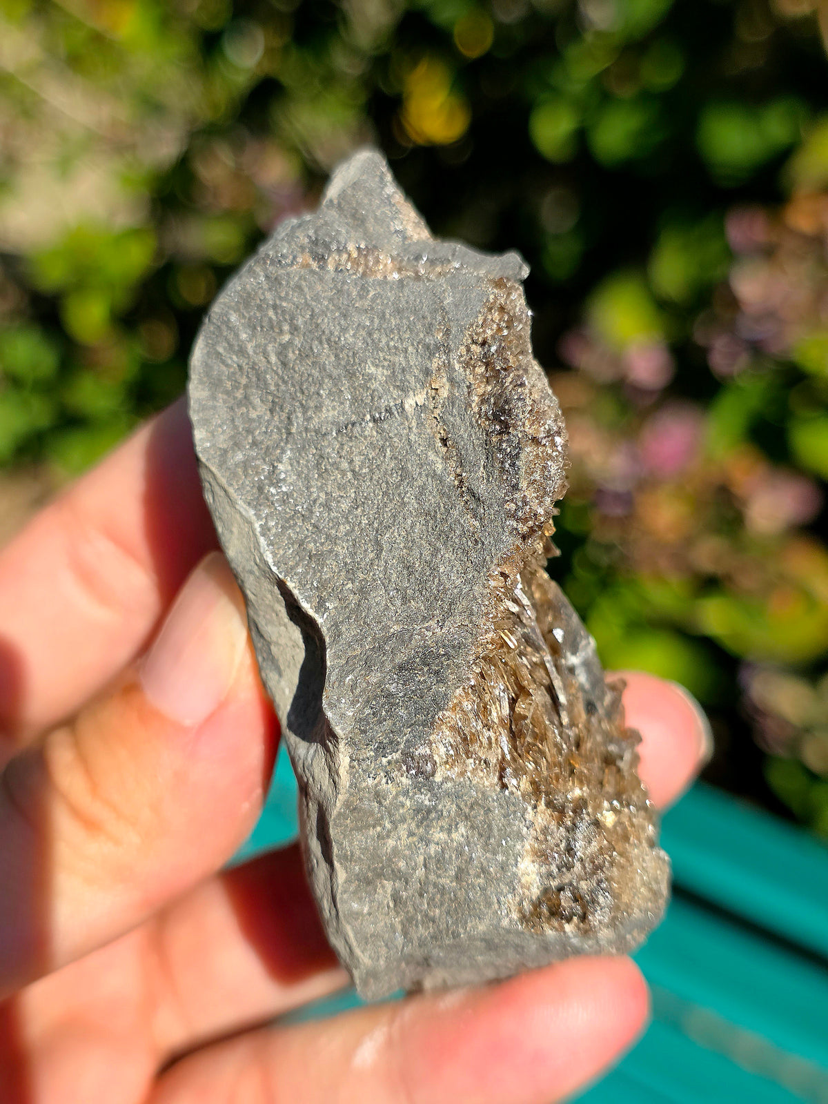 Baryte dans de la Septaria brute de la Drôme